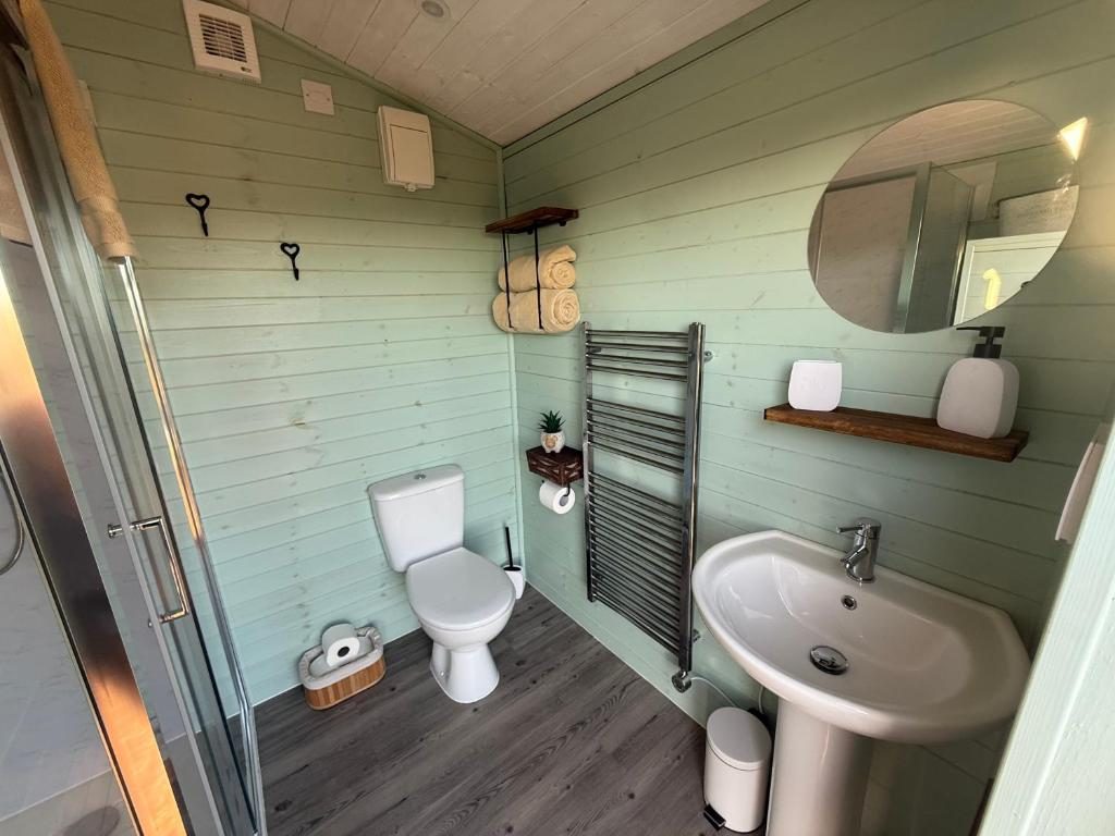 Shower room with toilet, basin and heated towel rail